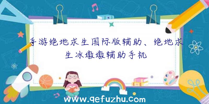 手游绝地求生国际版辅助、绝地求生冰墩墩辅助手机