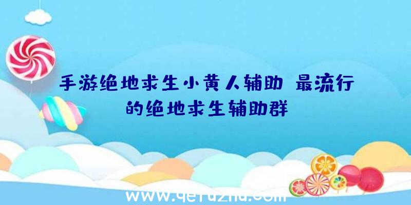 手游绝地求生小黄人辅助、最流行的绝地求生辅助群