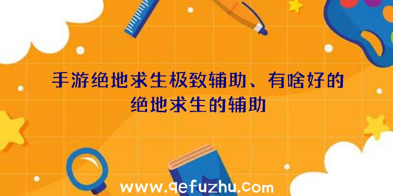 手游绝地求生极致辅助、有啥好的绝地求生的辅助