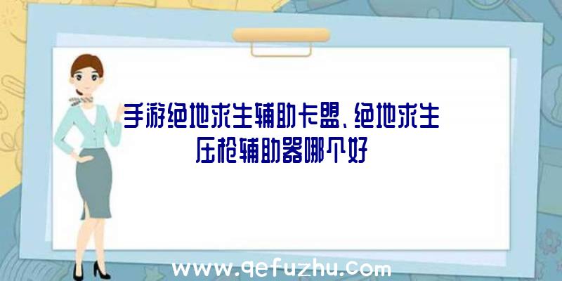 手游绝地求生辅助卡盟、绝地求生压枪辅助器哪个好