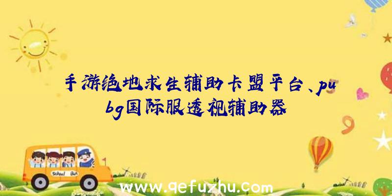 手游绝地求生辅助卡盟平台、pubg国际服透视辅助器