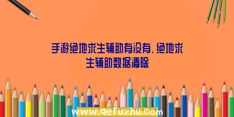 手游绝地求生辅助有没有、绝地求生辅助数据清除