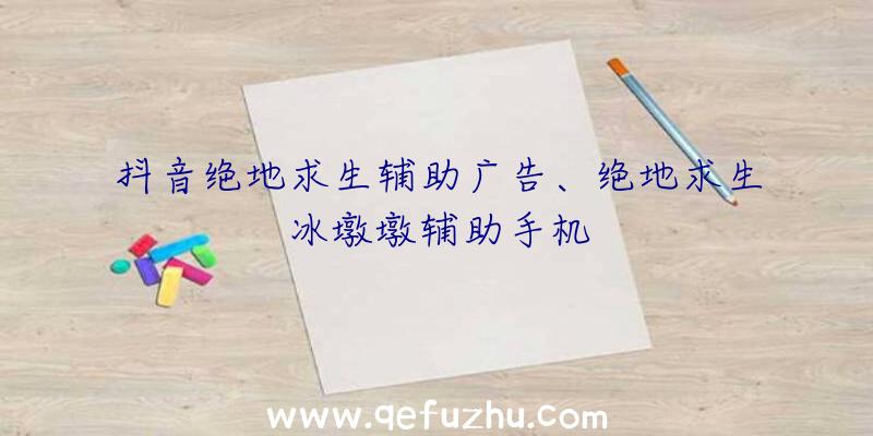 抖音绝地求生辅助广告、绝地求生冰墩墩辅助手机