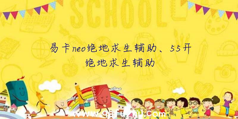 易卡neo绝地求生辅助、55开绝地求生辅助