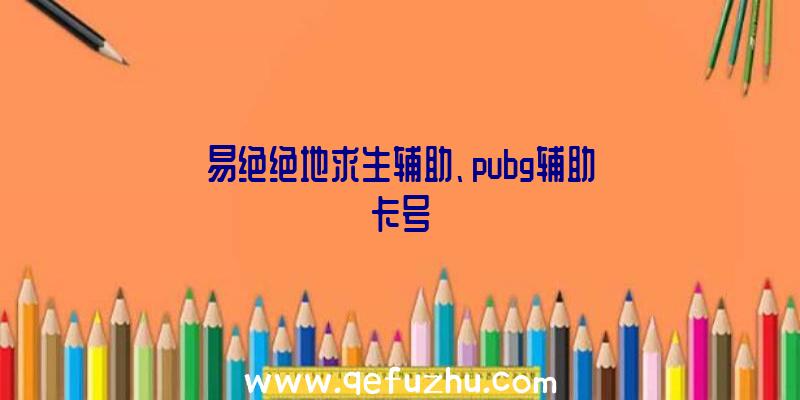 易绝绝地求生辅助、pubg辅助卡号