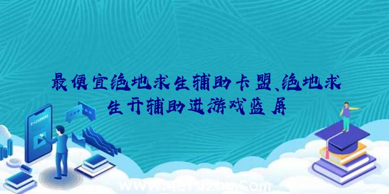 最便宜绝地求生辅助卡盟、绝地求生开辅助进游戏蓝屏