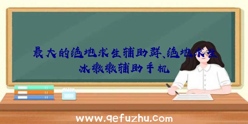 最大的绝地求生辅助群、绝地求生冰墩墩辅助手机