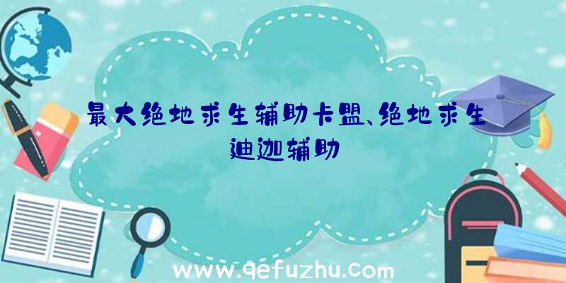 最大绝地求生辅助卡盟、绝地求生迪迦辅助