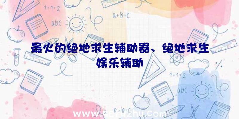 最火的绝地求生辅助器、绝地求生娱乐辅助