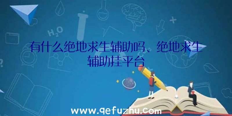 有什么绝地求生辅助吗、绝地求生辅助挂平台