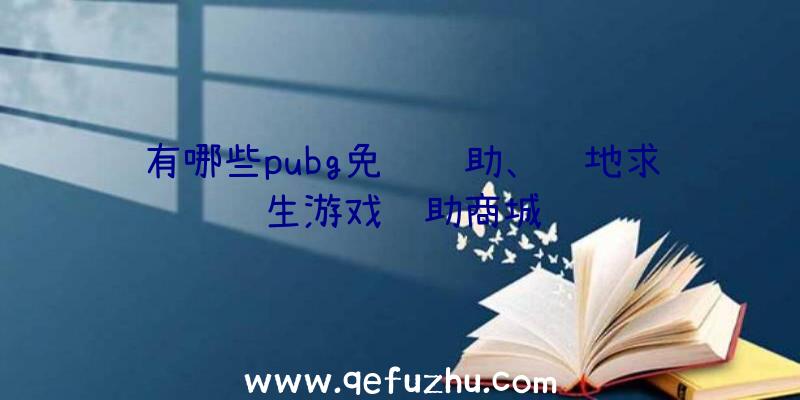 有哪些pubg免费辅助、绝地求生游戏辅助商城