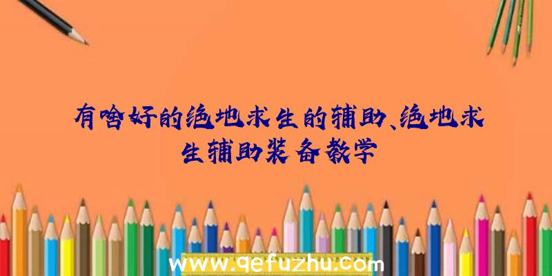 有啥好的绝地求生的辅助、绝地求生辅助装备教学