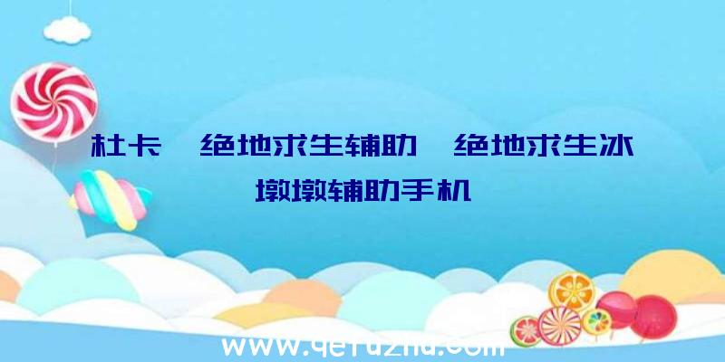 杜卡迪绝地求生辅助、绝地求生冰墩墩辅助手机