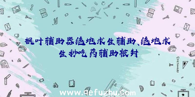 枫叶辅助器绝地求生辅助、绝地求生秒吃药辅助被封