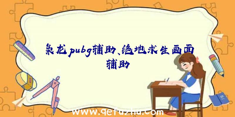 枭龙pubg辅助、绝地求生画面辅助