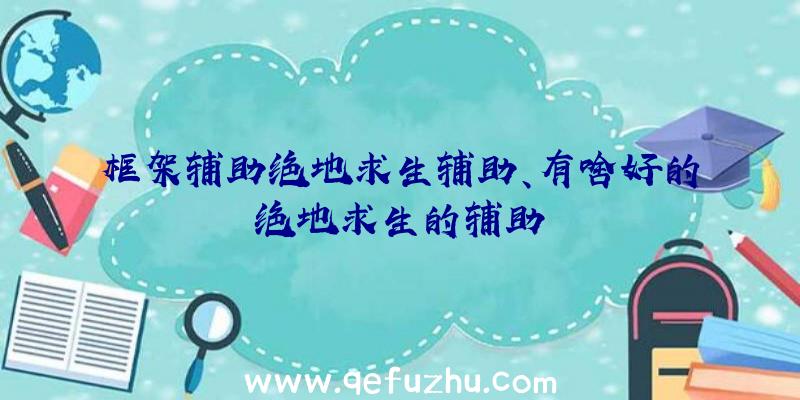 框架辅助绝地求生辅助、有啥好的绝地求生的辅助