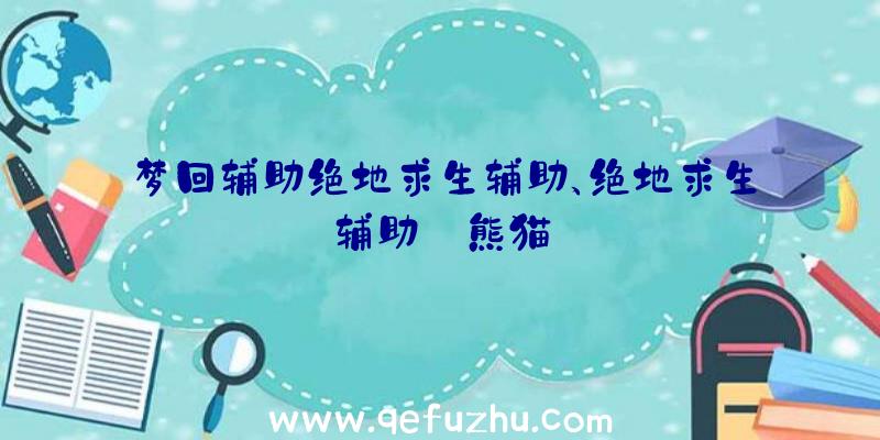 梦回辅助绝地求生辅助、绝地求生辅助