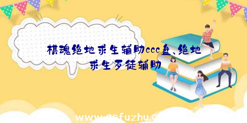 棋魂绝地求生辅助ccc盘、绝地求生歹徒辅助