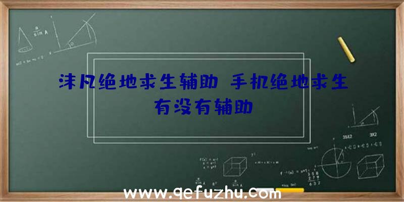 沫凡绝地求生辅助、手机绝地求生有没有辅助