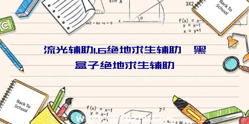 流光辅助1.6绝地求生辅助、黑盒子绝地求生辅助