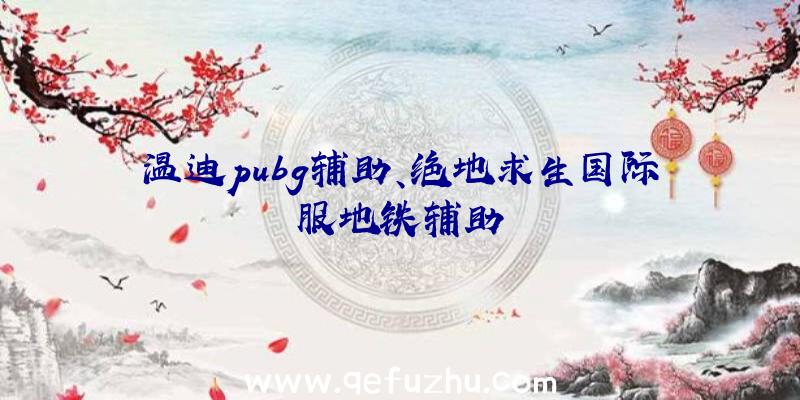 温迪pubg辅助、绝地求生国际服地铁辅助