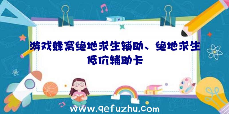 游戏蜂窝绝地求生辅助、绝地求生低价辅助卡