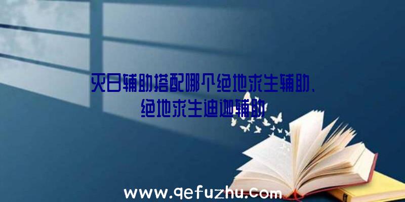 灭日辅助搭配哪个绝地求生辅助、绝地求生迪迦辅助