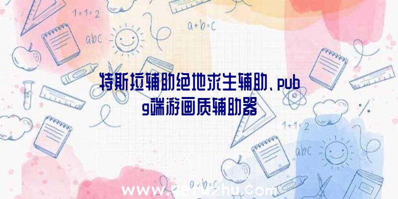 特斯拉辅助绝地求生辅助、pubg端游画质辅助器