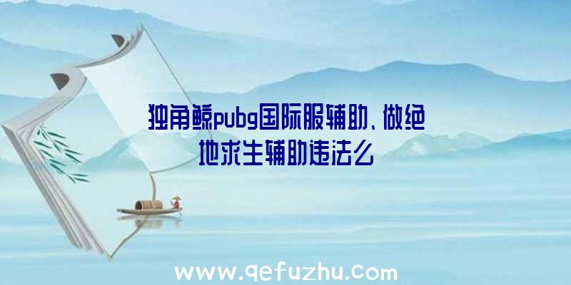 独角鲸pubg国际服辅助、做绝地求生辅助违法么