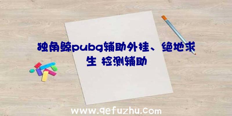 独角鲸pubg辅助外挂、绝地求生