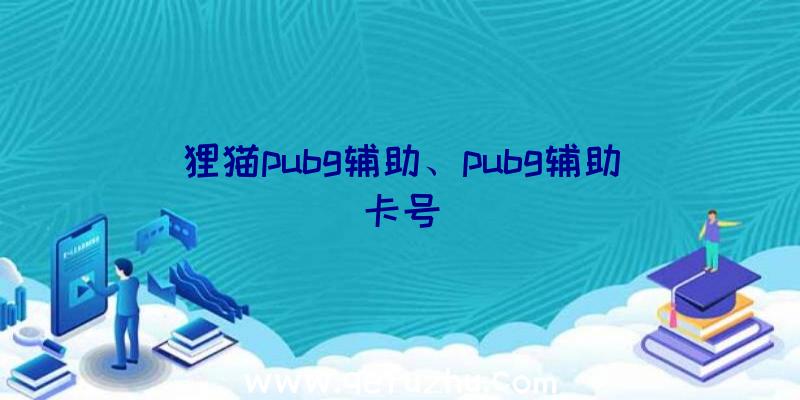 狸猫pubg辅助、pubg辅助卡号