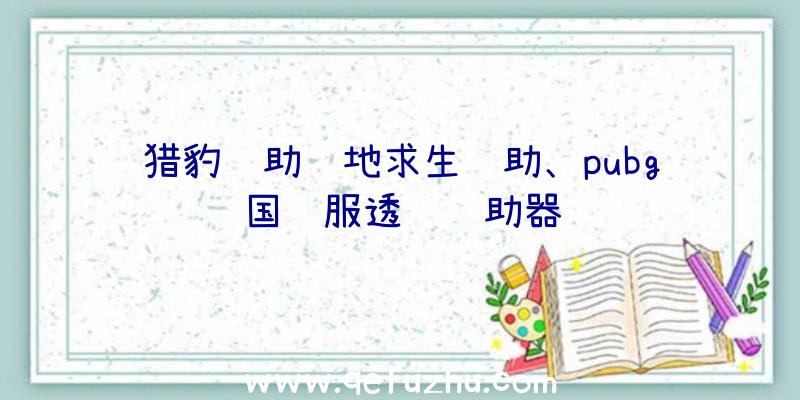 猎豹辅助绝地求生辅助、pubg国际服透视辅助器