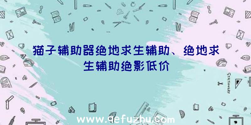 猫子辅助器绝地求生辅助、绝地求生辅助绝影低价