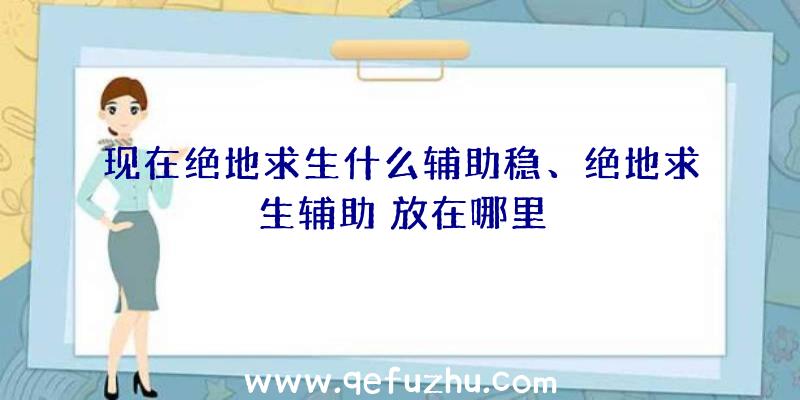 现在绝地求生什么辅助稳、绝地求生辅助