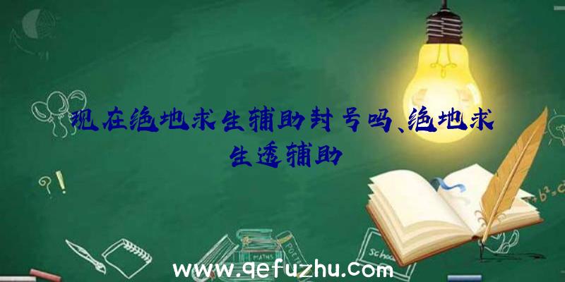 现在绝地求生辅助封号吗、绝地求生透辅助