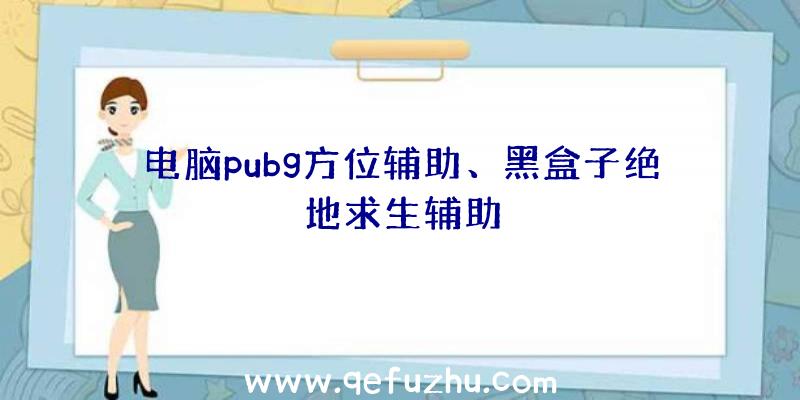 电脑pubg方位辅助、黑盒子绝地求生辅助