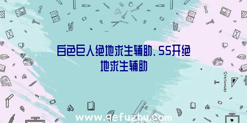 白色巨人绝地求生辅助、55开绝地求生辅助