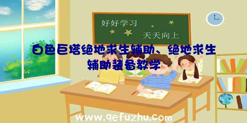 白色巨塔绝地求生辅助、绝地求生辅助装备教学