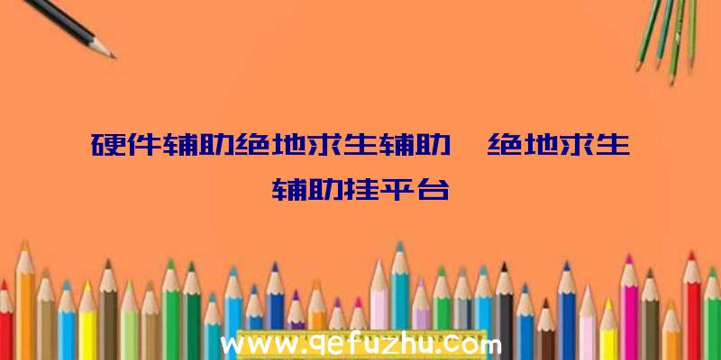 硬件辅助绝地求生辅助、绝地求生辅助挂平台