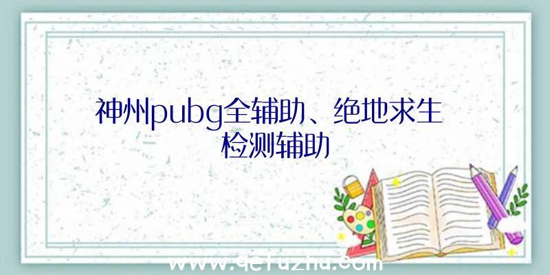 神州pubg全辅助、绝地求生