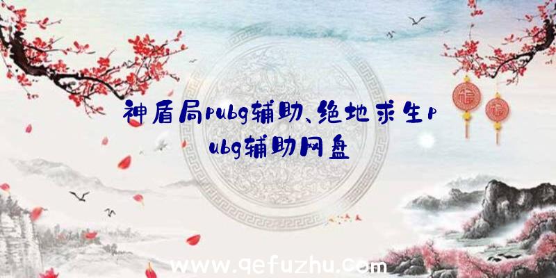 神盾局pubg辅助、绝地求生pubg辅助网盘