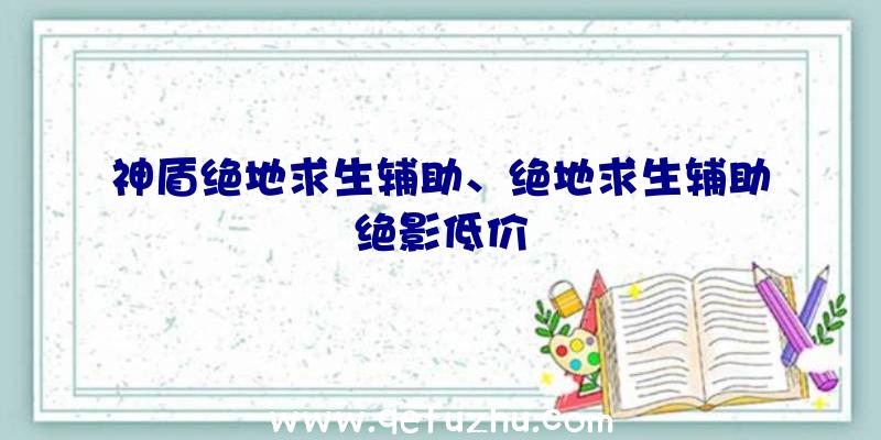 神盾绝地求生辅助、绝地求生辅助绝影低价