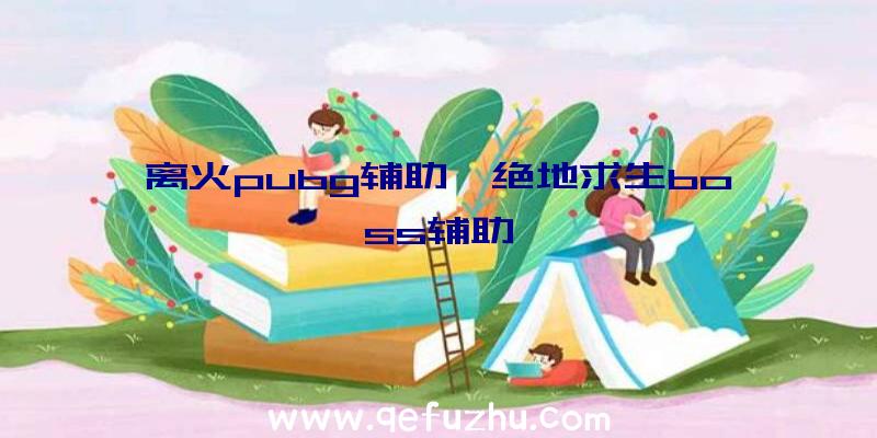 离火pubg辅助、绝地求生boss辅助