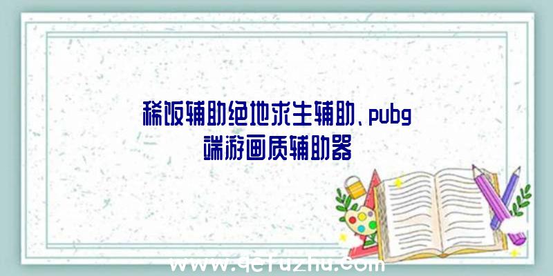 稀饭辅助绝地求生辅助、pubg端游画质辅助器