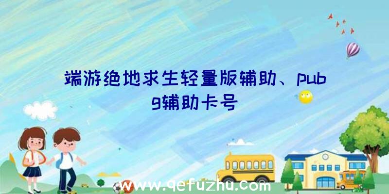 端游绝地求生轻量版辅助、pubg辅助卡号