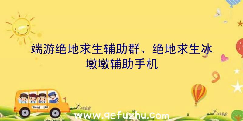 端游绝地求生辅助群、绝地求生冰墩墩辅助手机