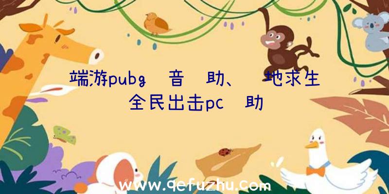 端游pubg语音辅助、绝地求生全民出击pc辅助