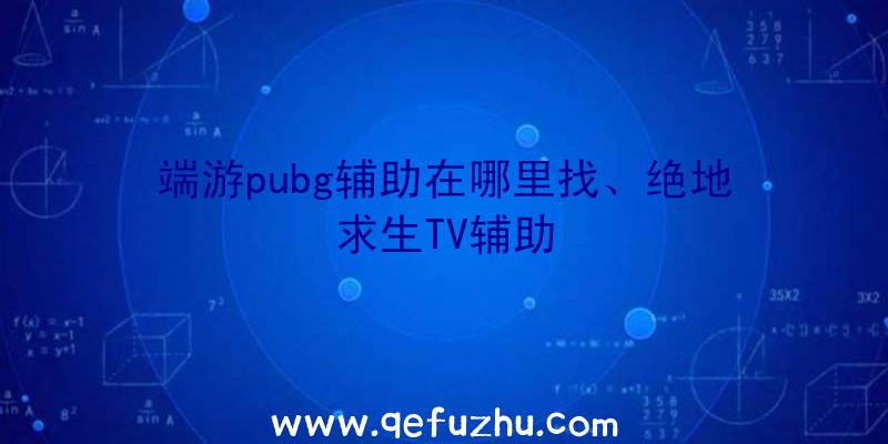 端游pubg辅助在哪里找、绝地求生TV辅助