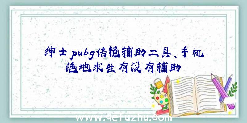 绅士pubg倍镜辅助工具、手机绝地求生有没有辅助