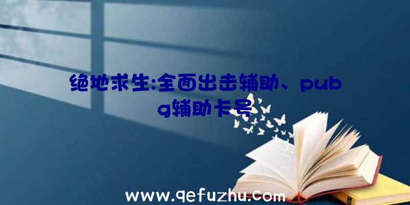 绝地求生:全面出击辅助、pubg辅助卡号